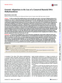 Full-text