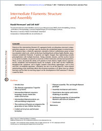 Full-text