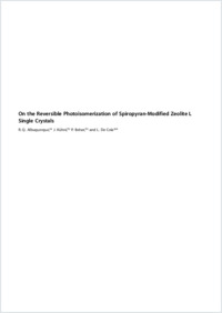 Supplementary material