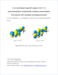 Supplementary material