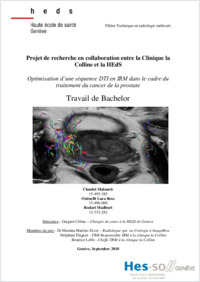 Texte intégral