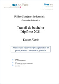 Flück_Y_2021.pdf