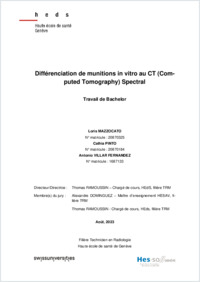 MAZZOCATO_PINTO_VILLAR_TB_BSC3_2020.pdf