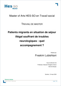 TM_Lubishtani_2024.pdf